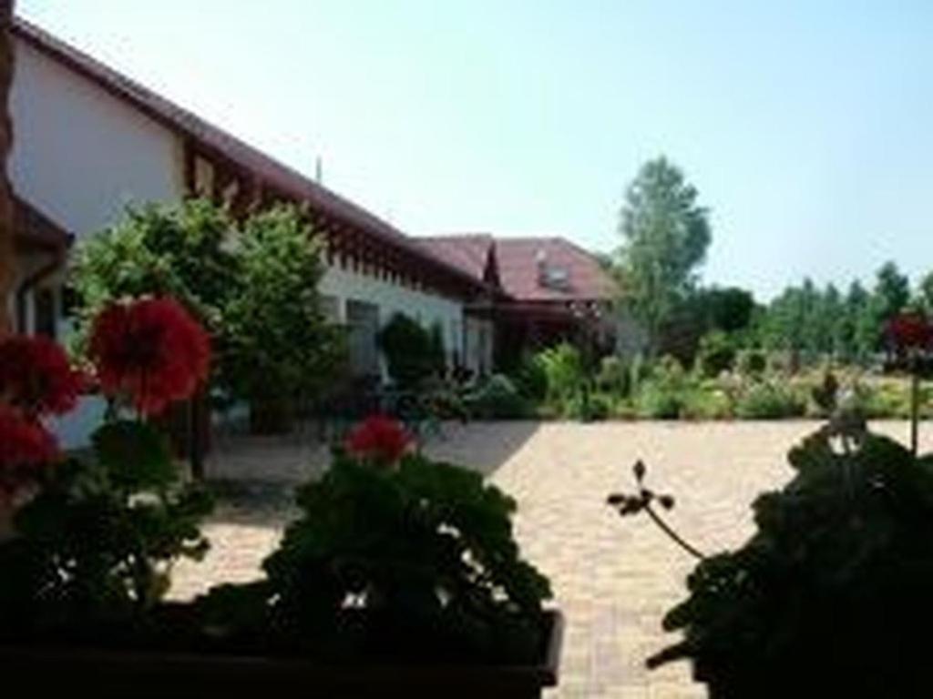 Verba Tanya Bed and Breakfast Kotaj Exterior foto