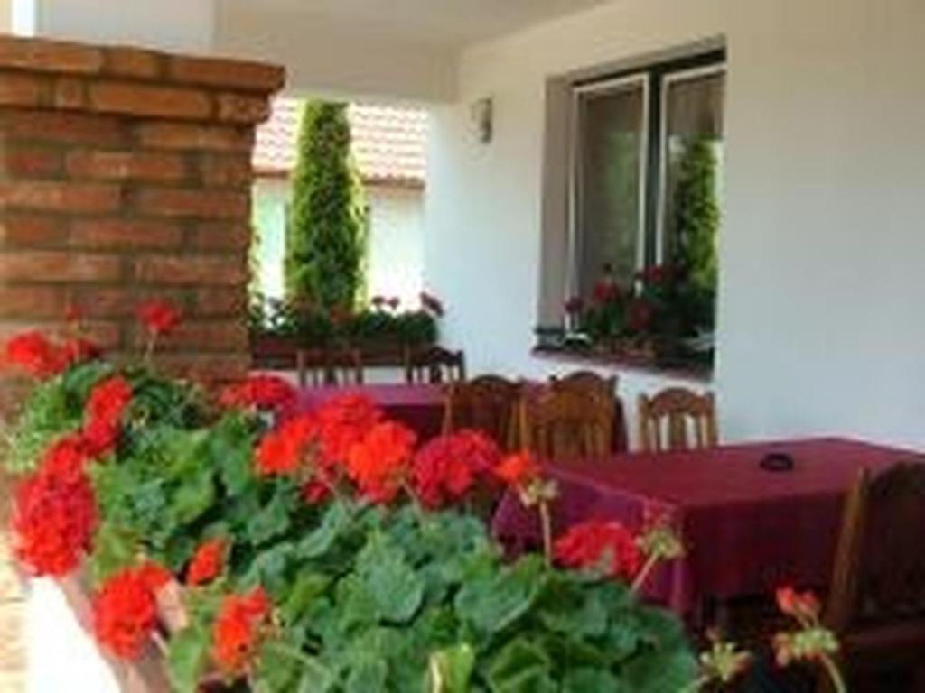 Verba Tanya Bed and Breakfast Kotaj Exterior foto